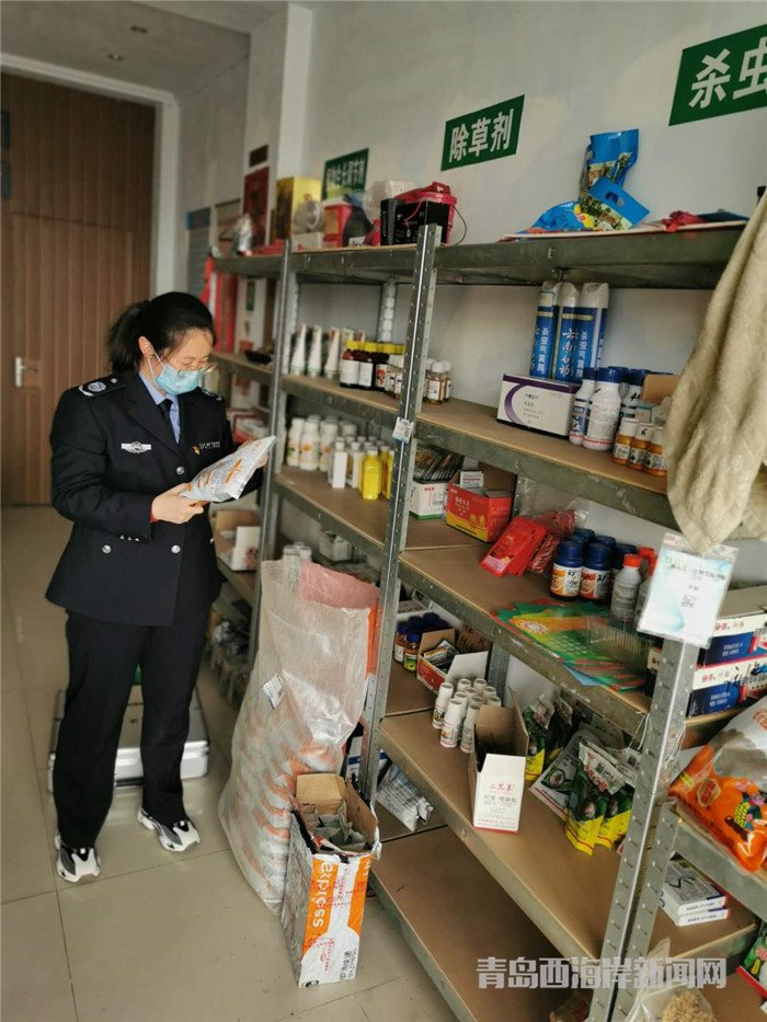 圖為西海岸新區(qū)農(nóng)業(yè)綜合行政執(zhí)法大隊執(zhí)法隊員在查看玉米種子包裝。.jpg